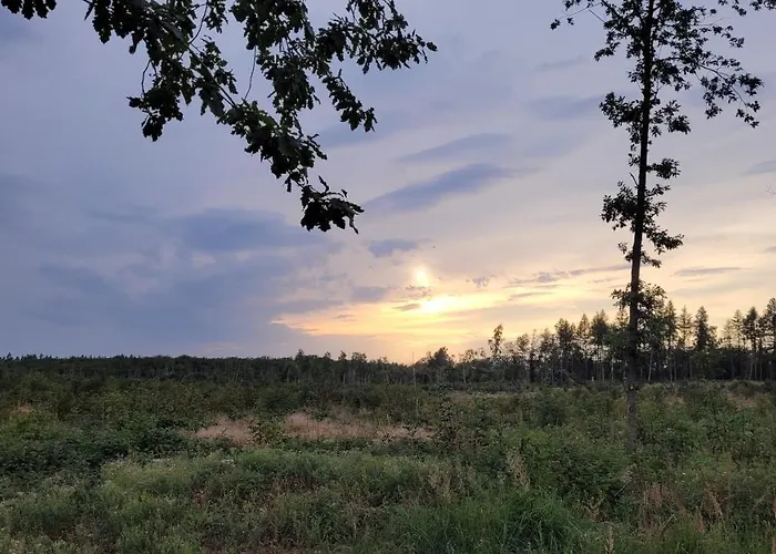 Lägenhet Falkenhof *
