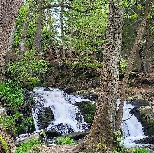Falkenhof Lägenhet *